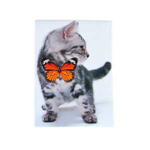 Notitieblokje met afbeelding van een poes met oranjerode vlinder